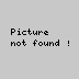 logo_mysql.jpg
